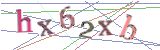 영문자w,영문자d,영문자y,숫자9,영문자p,숫자2